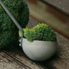 Broccoli Broccoli 1