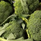 Broccoli Broccoli 2