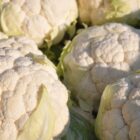 Cavolfiori Cavolfiori 3