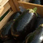 Melanzane melanzane 3