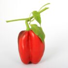 Peperoni peperoni 1