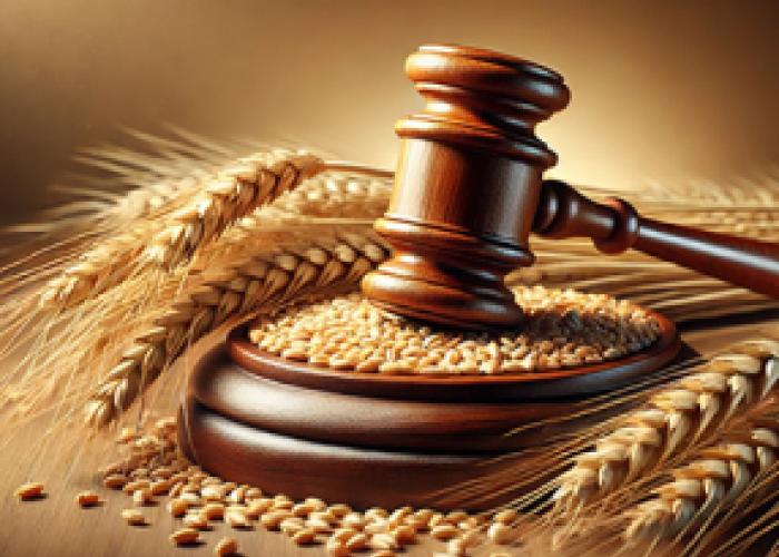 Clean label, biologico e plant-based: i trend che guidano l’industria alimentare 1 Clean label, biologico e plant-based: i trend che guidano l’industria alimentare