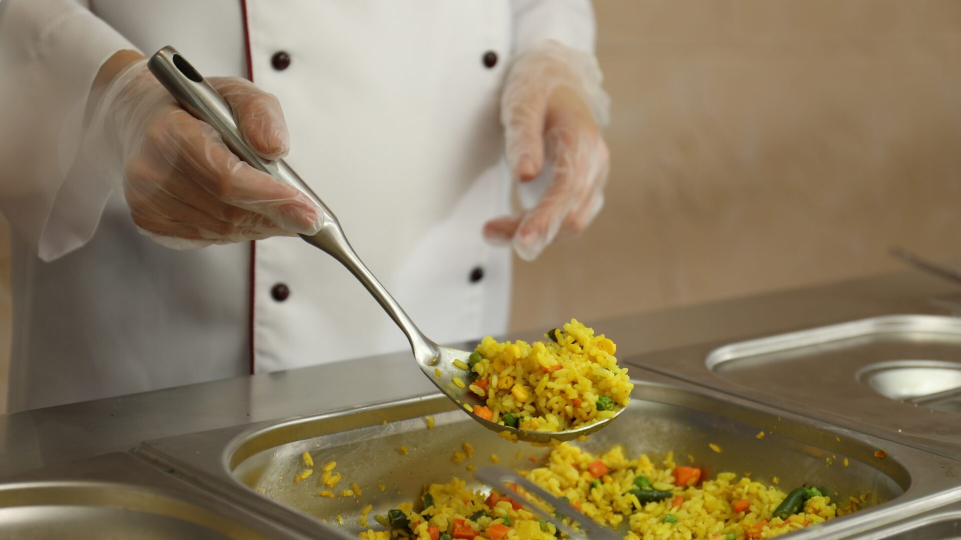 Palimex 23 Palimex svg+xml;charset=utf