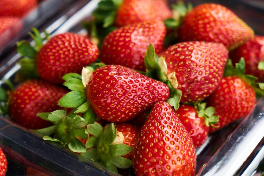 Soluzioni per aziende conserviere: ingredienti selezionati per trasformazione industriale 5 3